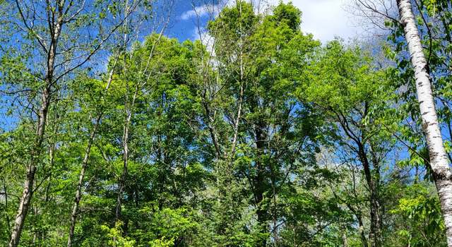 Photo of Lot 2 Peshtigo River Rd, Goodman, WI 54125