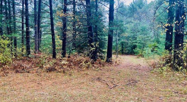 Photo of ON Bloom Rd, Eagle River, WI 54521