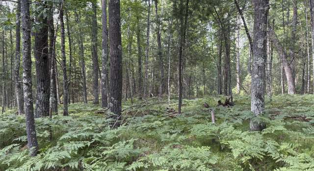 Photo of Off Pine Shore Ln, St. Germain, WI 54558