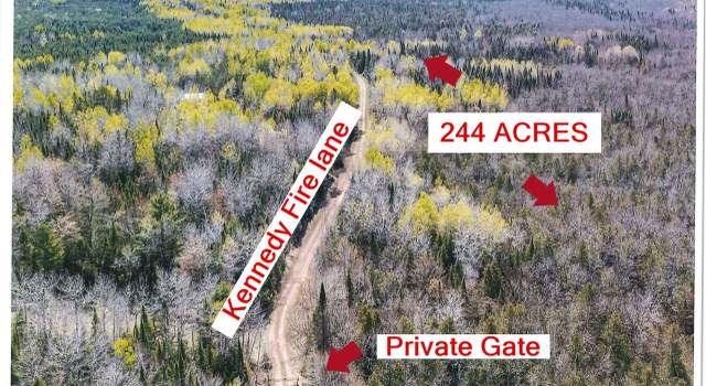 Photo of 244 AC Manhardt Rd, Minocqua, WI 54548
