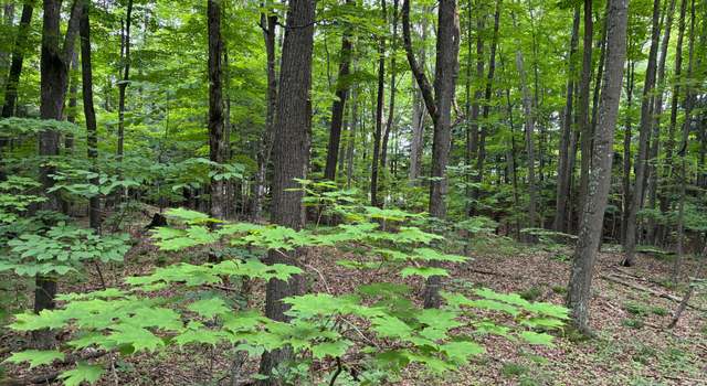 Photo of 02217801 Grass Lake Rd, Crandon, WI 54520