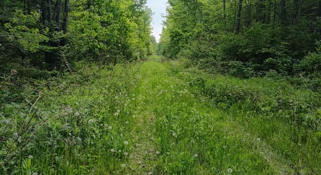 Photo of ON Meister Stockley Rd, Pelican Lake, WI 54463