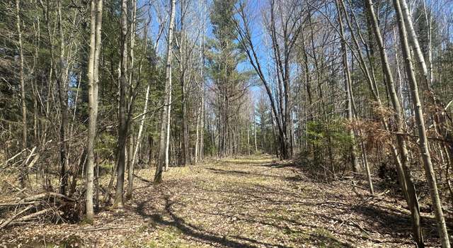 Photo of Acres On Watersmeet Lake Rd Unit 31+/-, Eagle River, WI 54521
