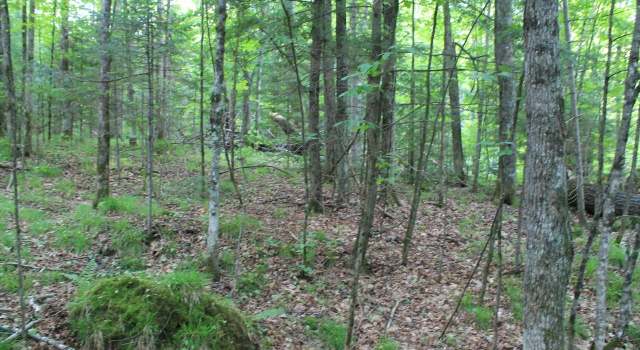 Photo of ON Tower Ridge Rd, Mercer, WI 54547
