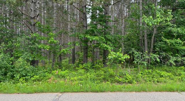 Photo of ON Knowles Creek Rd, Lakewood, WI 54138