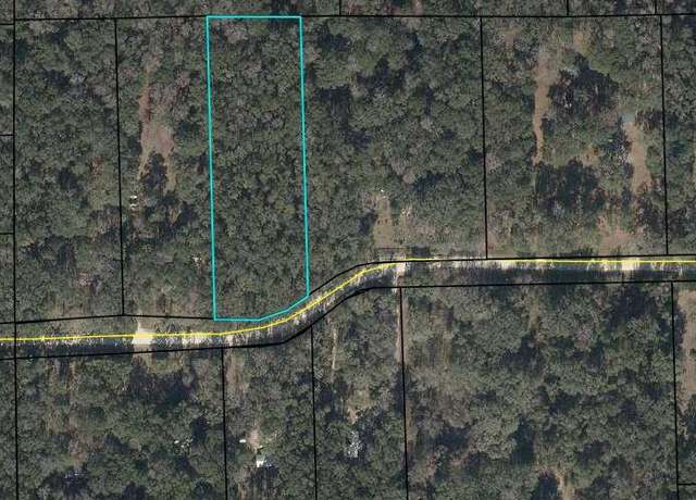 Property at NE 173rd Ave, Old Town, FL 32680