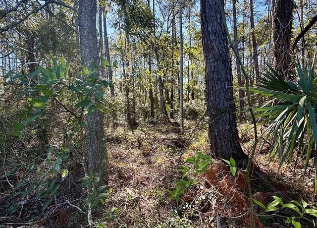Property at NW Hwy 19, Cross City, FL 32628