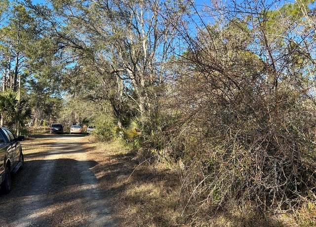 Property at 00 SE 447th St, Old Town, FL 32680