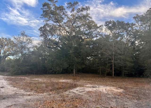 Property at TBD 497th St, Old Town, FL 32680