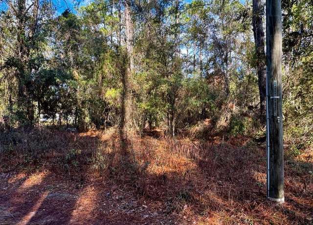Property at Lot 23 SE 121st Ave, Old Town, FL 32680