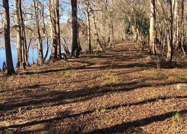 Property at 311th Ave, Old Town, FL 32680