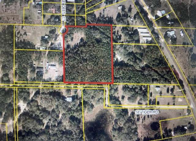 Property at 185 SE Dees Ct, Mayo, FL 32066