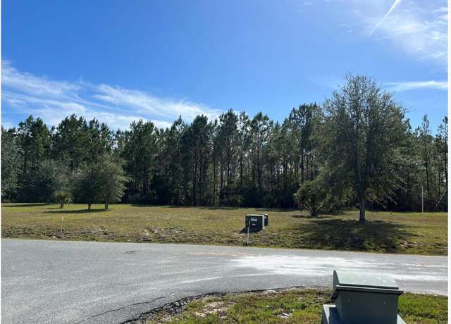 Property at 869th Loop, Steinhatchee, FL 32359