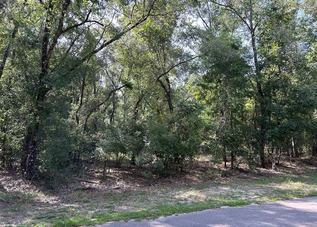 Property at 00 NW 82nd Ter, Bell, FL 32619