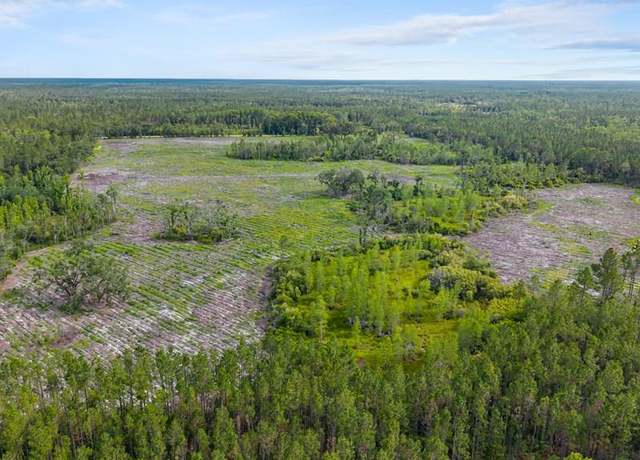 Property at SE County Road 360, Mayo, FL 32066