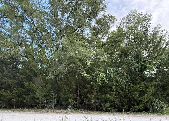 Property at SE 84th Ln, Trenton, FL 32693