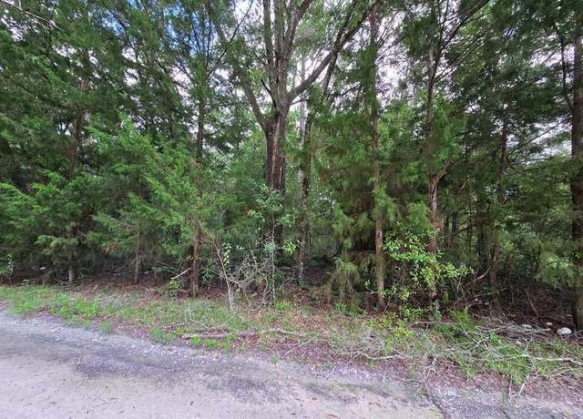 Property at SE 84th Ln, Trenton, FL 32693