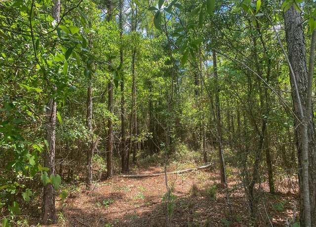 Property at TBD NW 42nd Ct, Bell, FL 32619