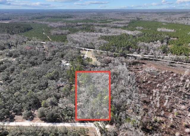 Property at 0 NE 295 Ln, Cross City, FL 32628