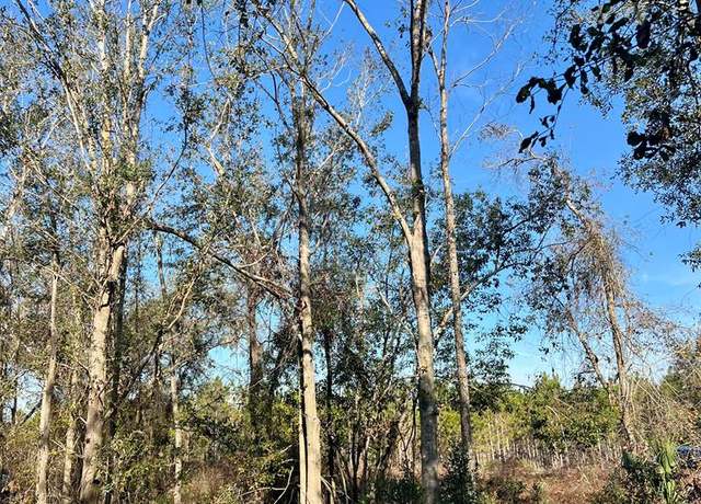 Property at 0 W Hwy 27, Mayo, FL 32066