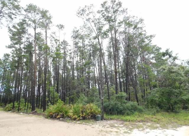 Property at Oak Pond Ln, Steinhatchee, FL 32359