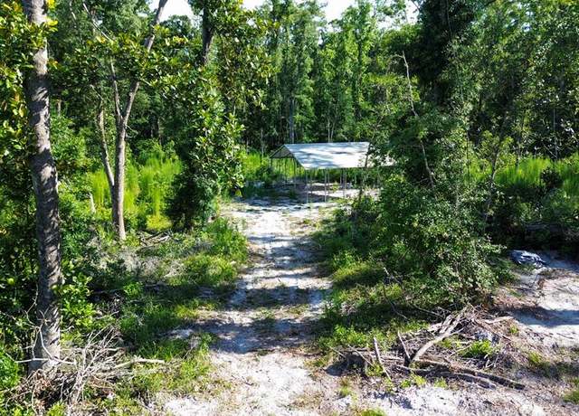 Property at NE 249th Ave, Old Town, FL 32680