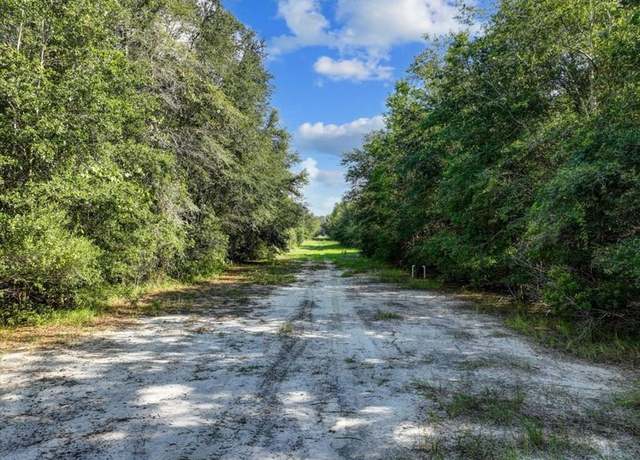 Property at 19 acres NE 140th St, Trenton, FL 32693