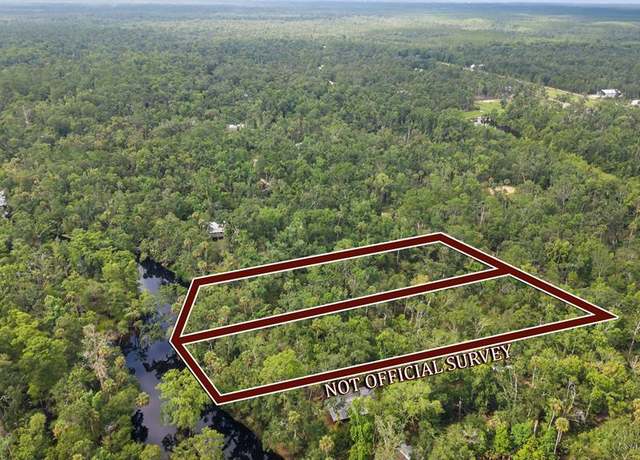 Property at 2338 NE Ancient Oaks Dr, Steinhatchee, FL 32359