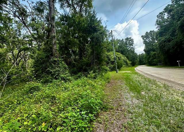 Property at NE 642nd St, Old Town, FL 32680