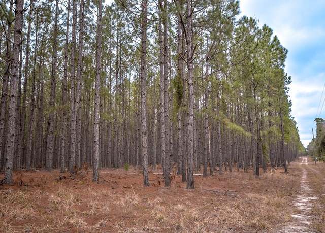 Property at 0 NW 50th St, Bell, FL 32693