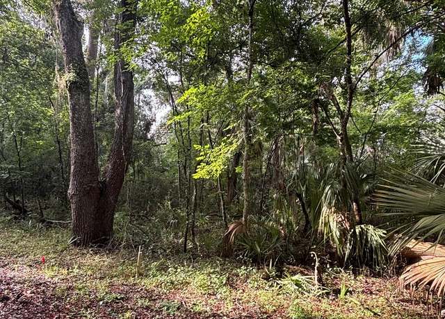Property at 0 NE 83rd Ave, Old Town, FL 32680