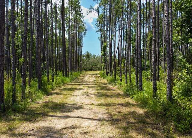 Property at SW 844th St, Steinhatchee, FL 32359