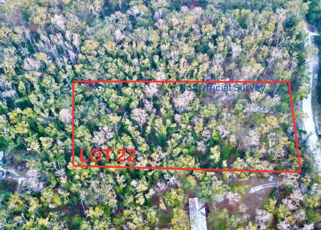 Property at lot 22 NE 173rd Ave, Old Town, FL 32680