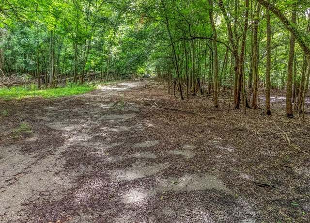 Property at SW 17th St, Bell, FL 32619