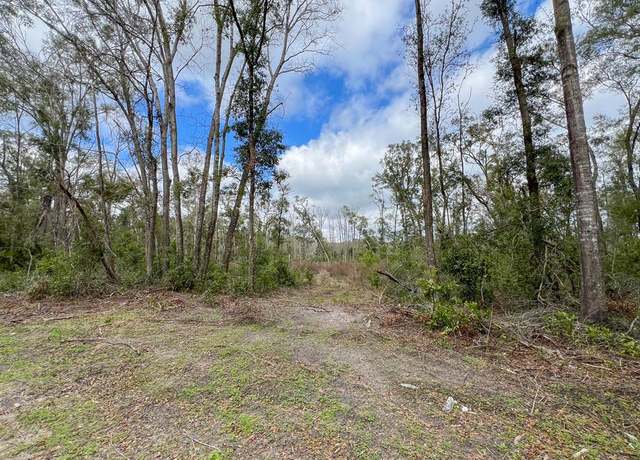 Property at NE 200th Ave, Old Town, FL 32680