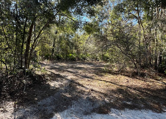 Property at TBD NE 808th St, Old Town, FL 32680