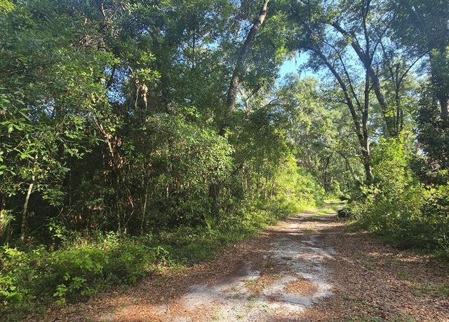Property at TBD NE 204th Ave, Old Town, FL 32686