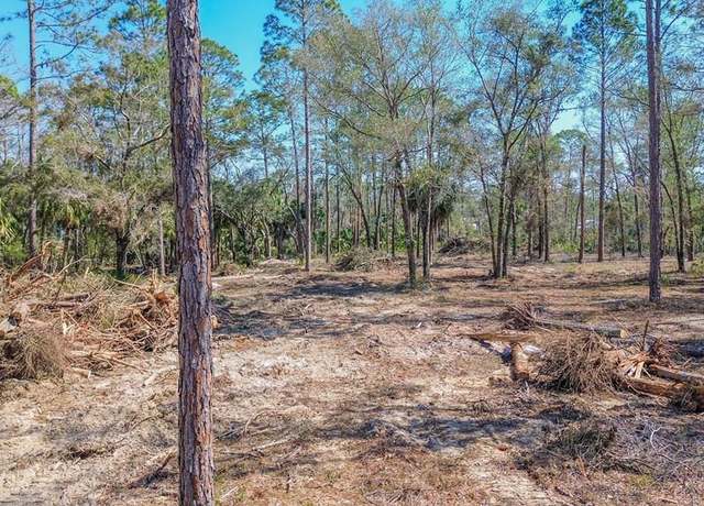 Property at 0 NE Webb Ln, Steinhatchee, FL 32359