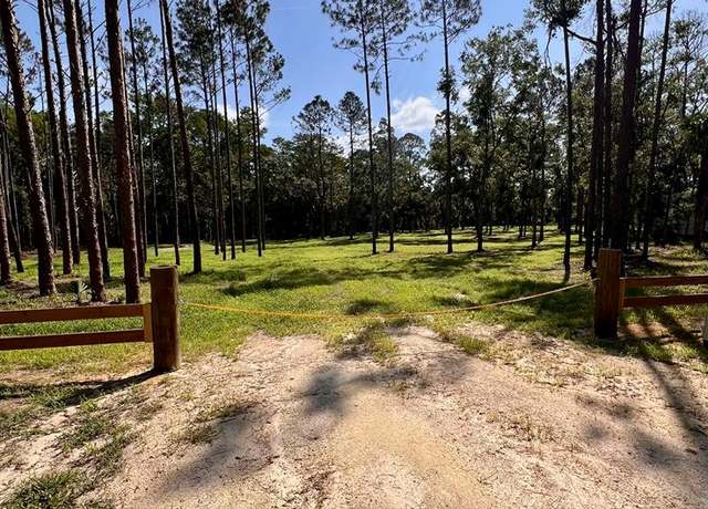 Property at 0 NE Webb Ln, Steinhatchee, FL 32359