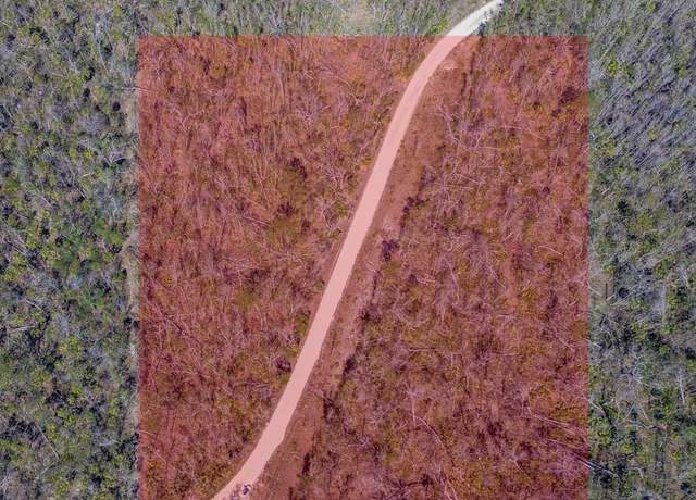 Property at 915 SW 248th Ave, Steinhatchee, FL 32359