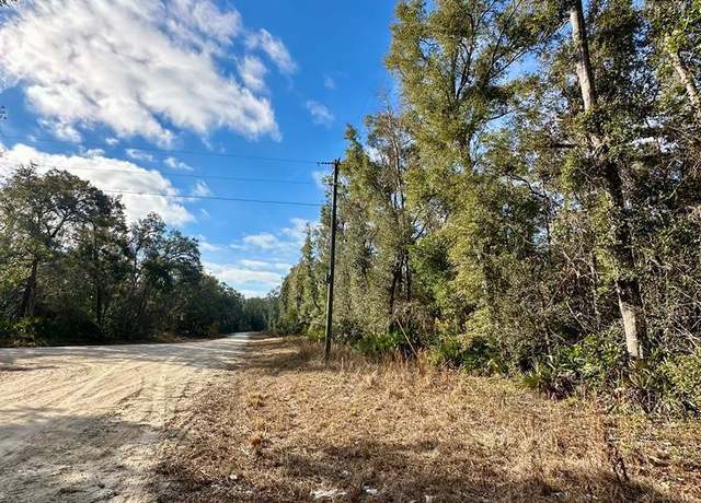 Property at 0 NE 306th Ave, Old Town, FL 32680