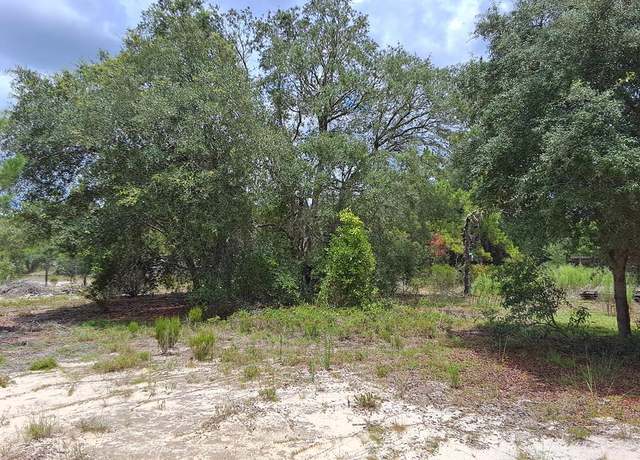 Property at None, Dunnellon, FL 34431