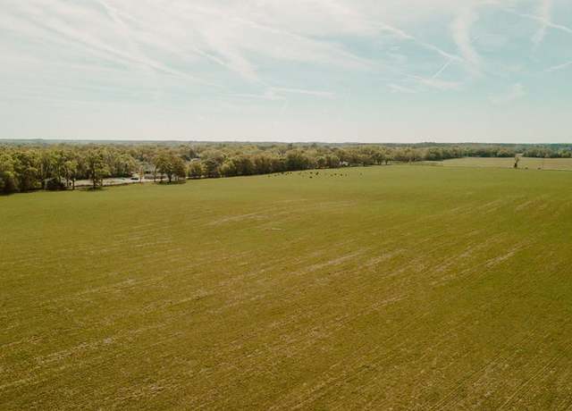 Property at 000 SW 180th Ave, Dunnellon, FL 34432