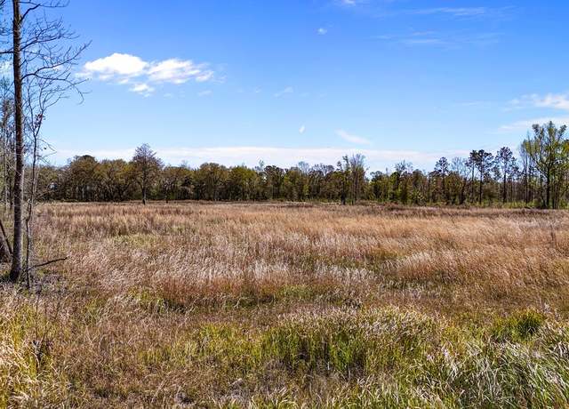 Property at TBD 00 SE Hwy 301, Hawthorne, FL 32640