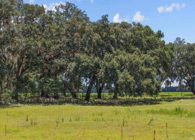Property at TBD NE 489th St, Old Town, FL 32680