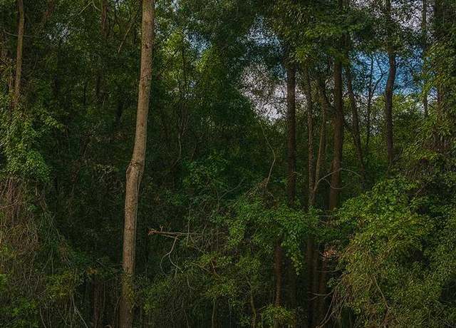 Property at TBD NE 386th Ave, Old Town, FL 32680