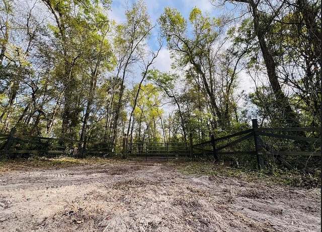 Property at NE 262nd Ave Lot 310, Old Town, FL 32680