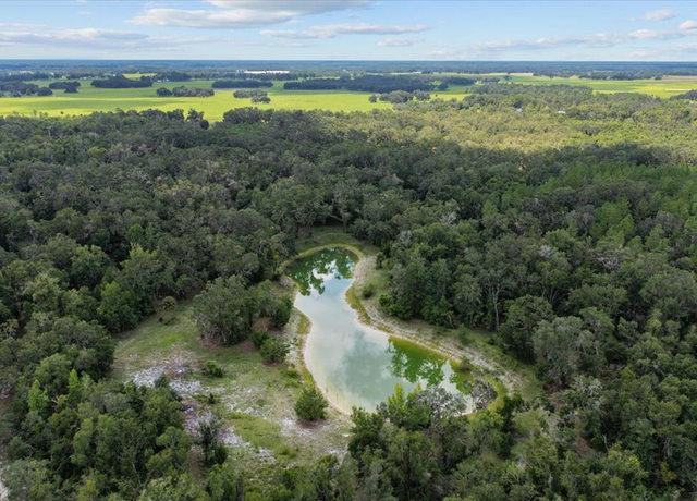 Property at 00 NE 239th Ave, Old Town, FL 32680