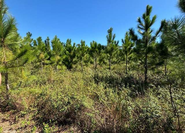 Property at Lot 1 SW 50th Ave, Bell, FL 32619