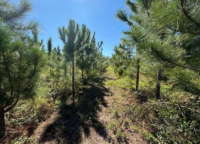 Property at Lot 2 SW 50th Ave, Bell, FL 32619